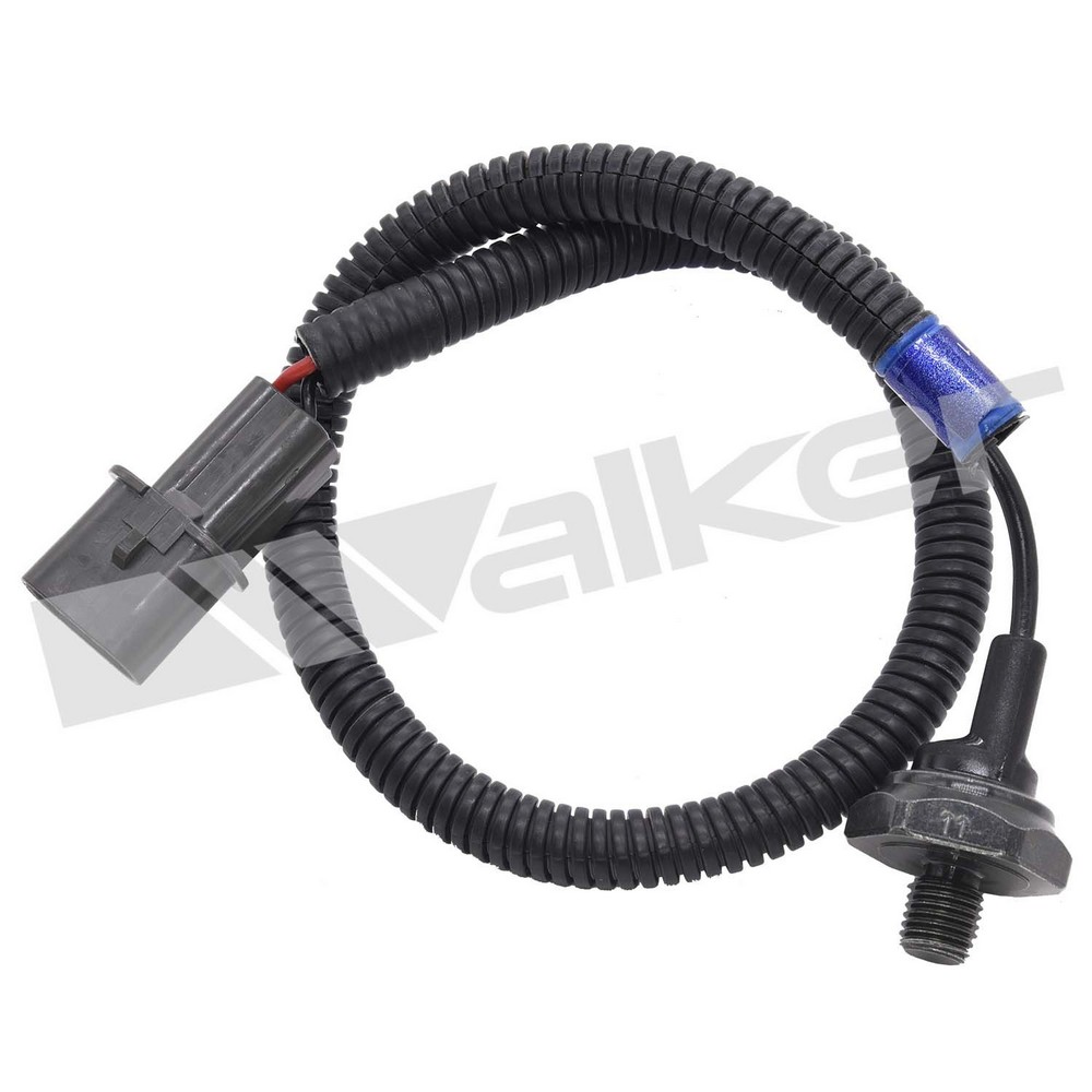 DKHD-2421270