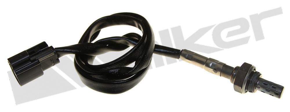 DKHD-250241205