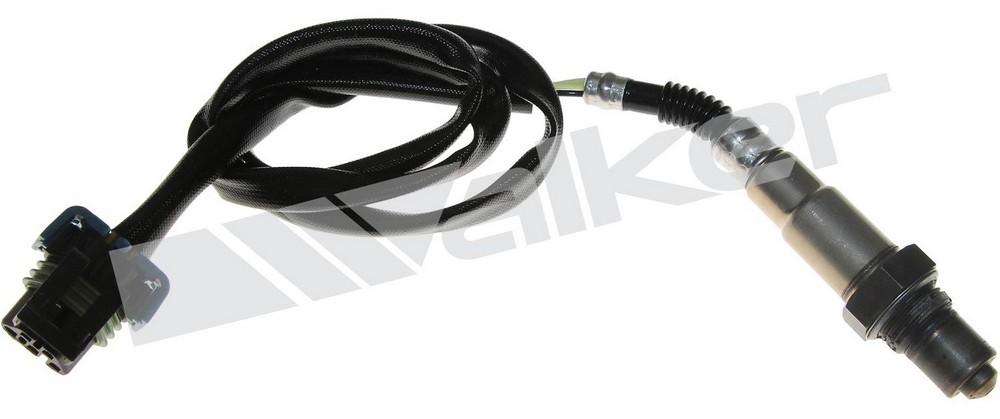 DKHD-25024743