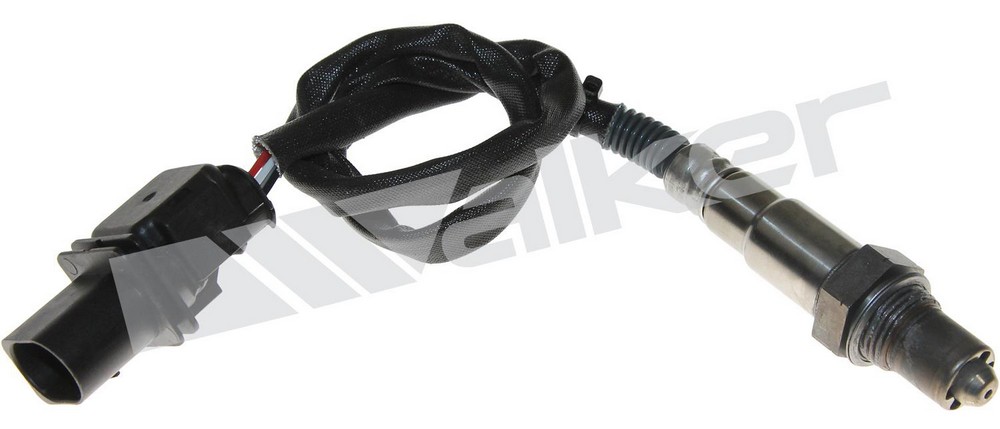 DKHD-35035019