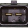 BFPZ-AU0021