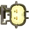 BFPZ-EC0156