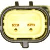 BFPZ-EC0158