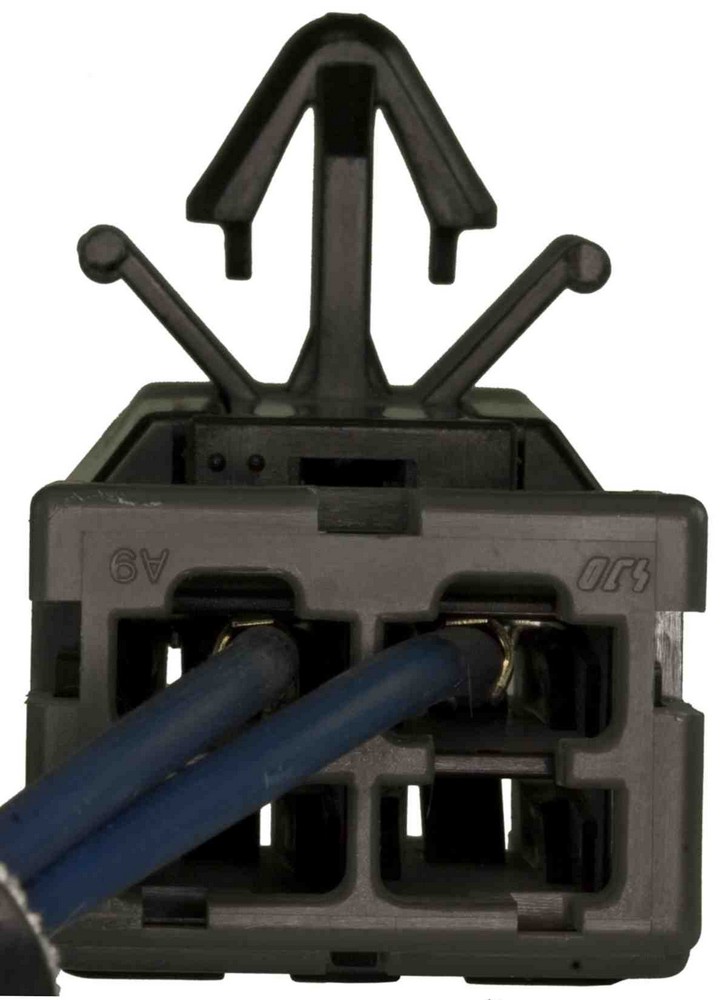 BFPZ-WA0013