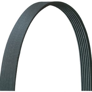 Dayco 5060925DR V-Ribbed Belt