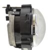 BFDP-011748031