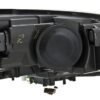 BFDP-011956271