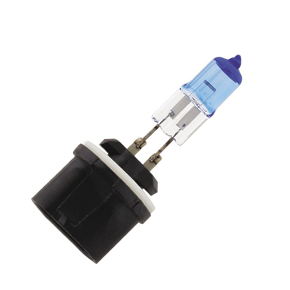BCGP-18803