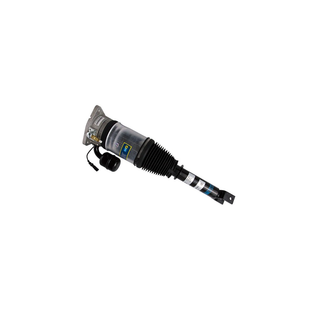 BBGL-45260469