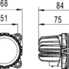 BFDP-998670031