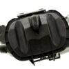 BFDP-H12555031