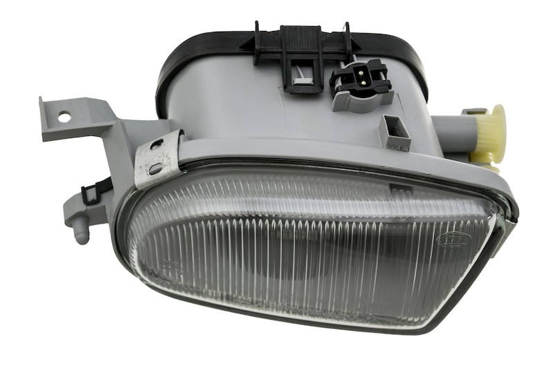 BFDP-H12555031