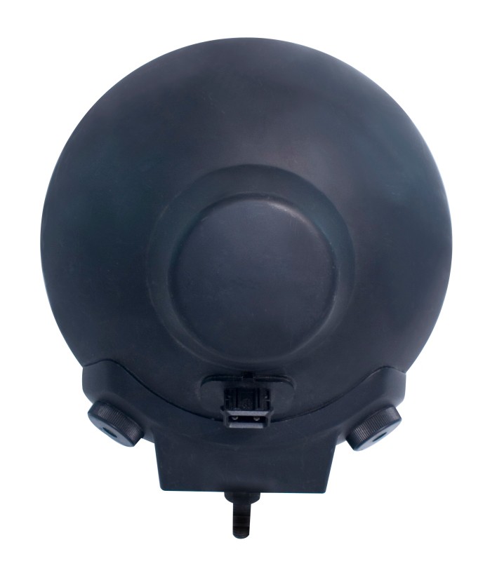 BFDP-H12560031