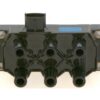 BBHK-0221503021