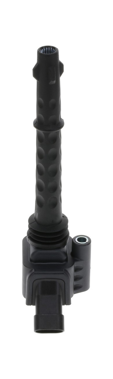 BBHK-0221504709