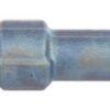 BBHK-0445218026