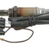 BBHK-13181