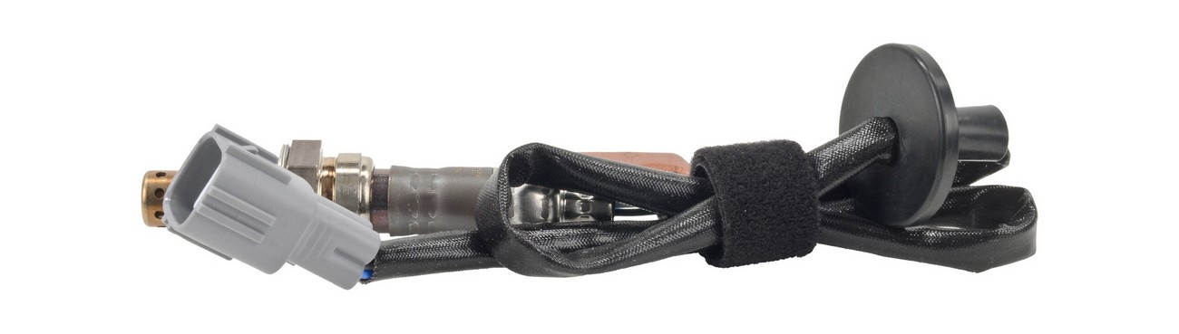 BBHK-13622