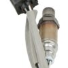 BBHK-13687