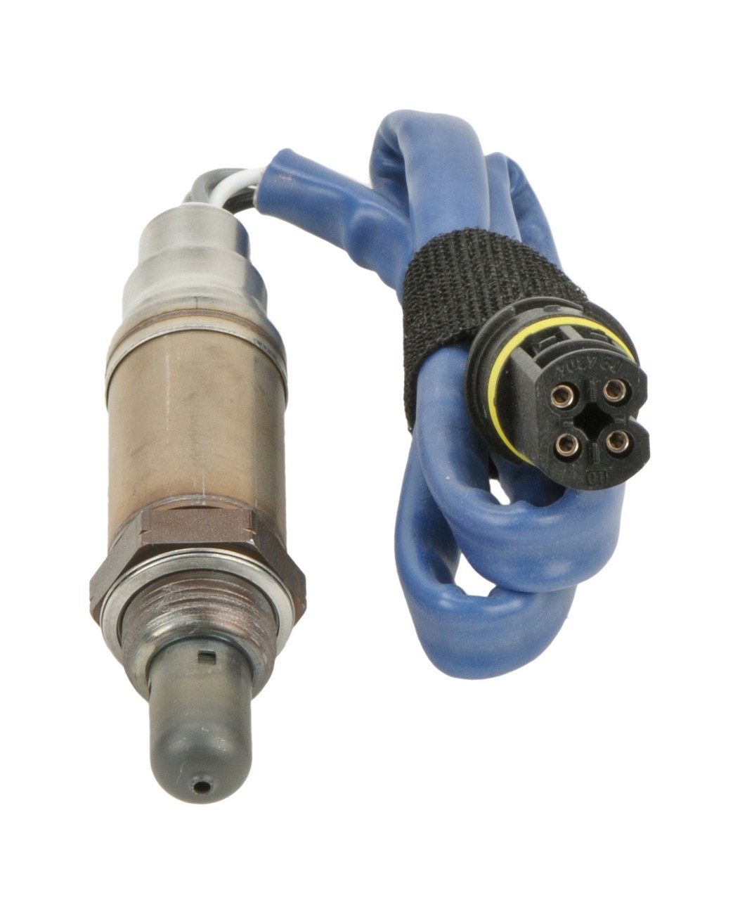 BBHK-13798
