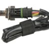 BBHK-13981