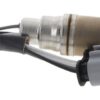 BBHK-15238