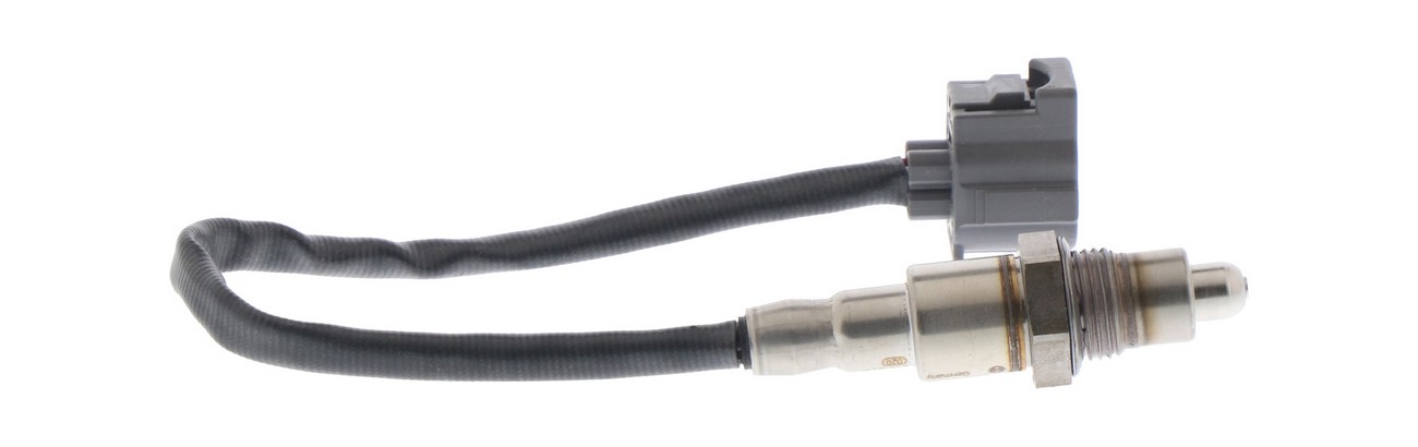BBHK-16008