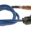 BBHK-16163