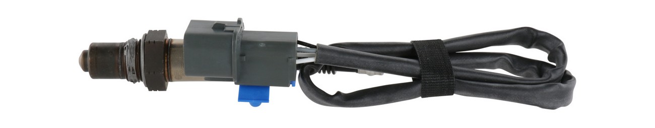 BBHK-16169