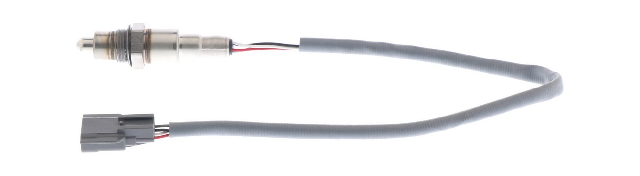 BBHK-16202