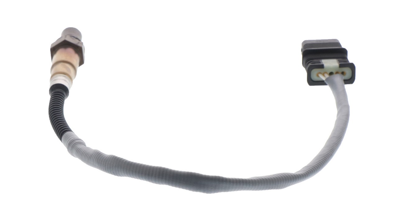 BBHK-16239