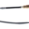 BBHK-16239