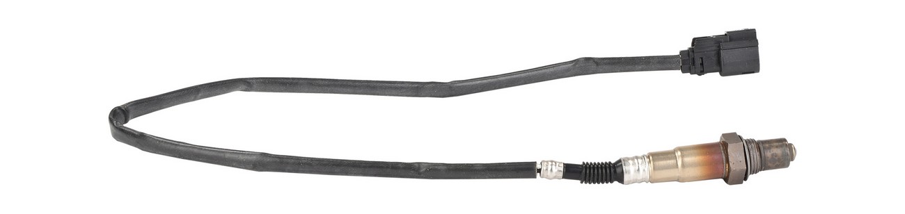 BBHK-16246