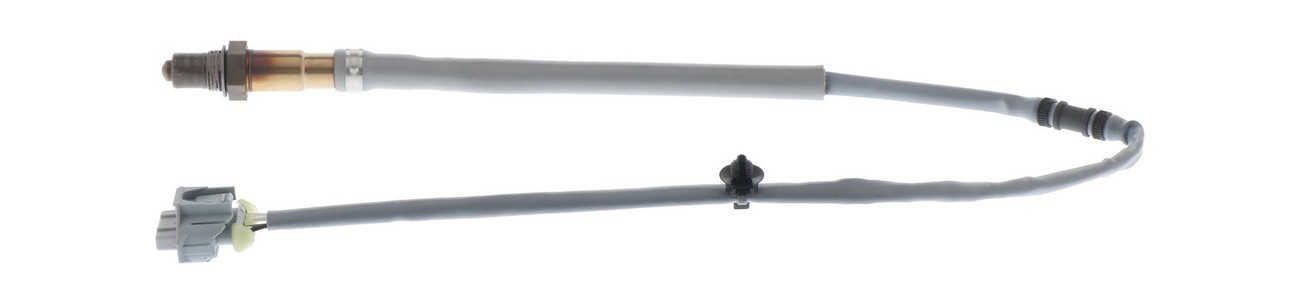 BBHK-16285