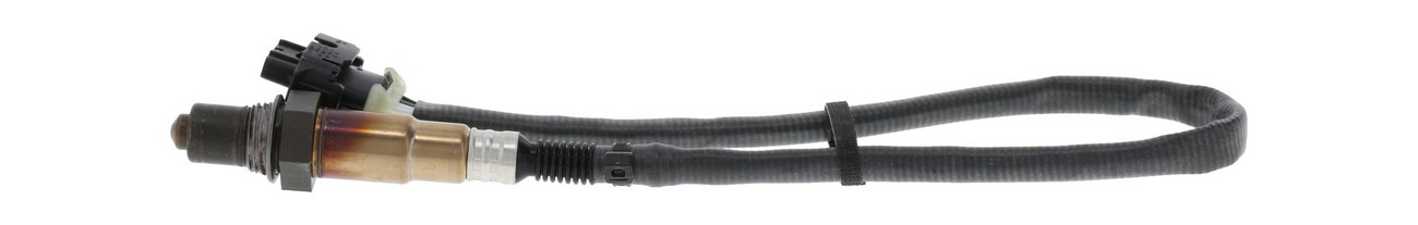 BBHK-16293