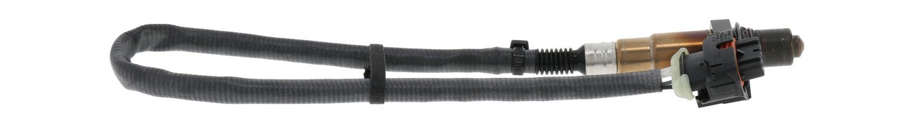 BBHK-16293
