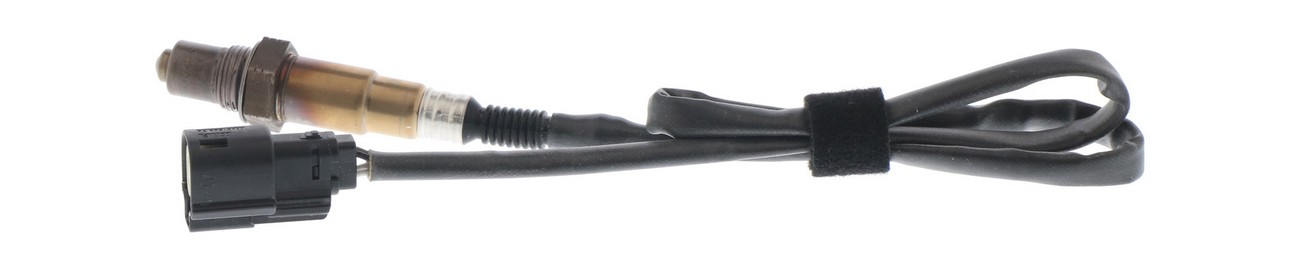 BBHK-16313
