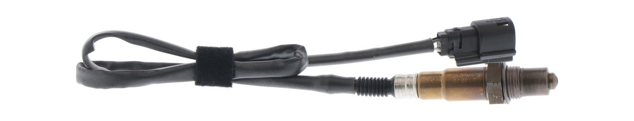 BBHK-16313