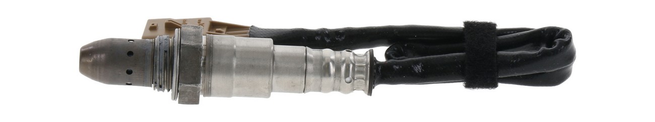 BBHK-16561