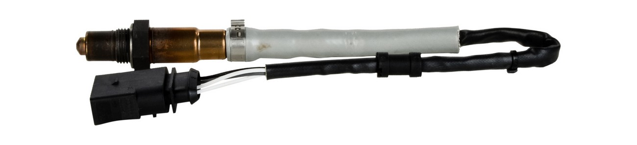 BBHK-16575
