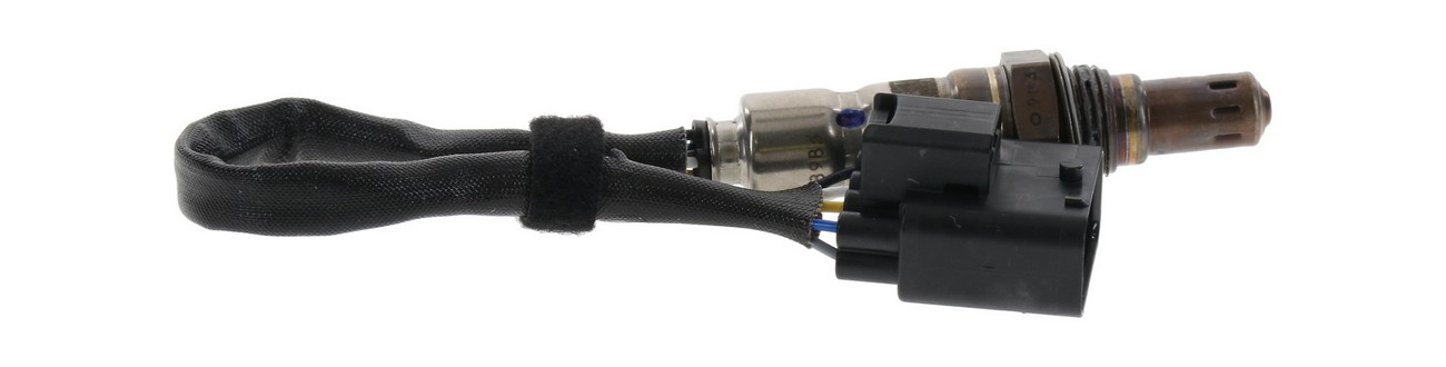 BBHK-16605