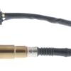 BBHK-17006