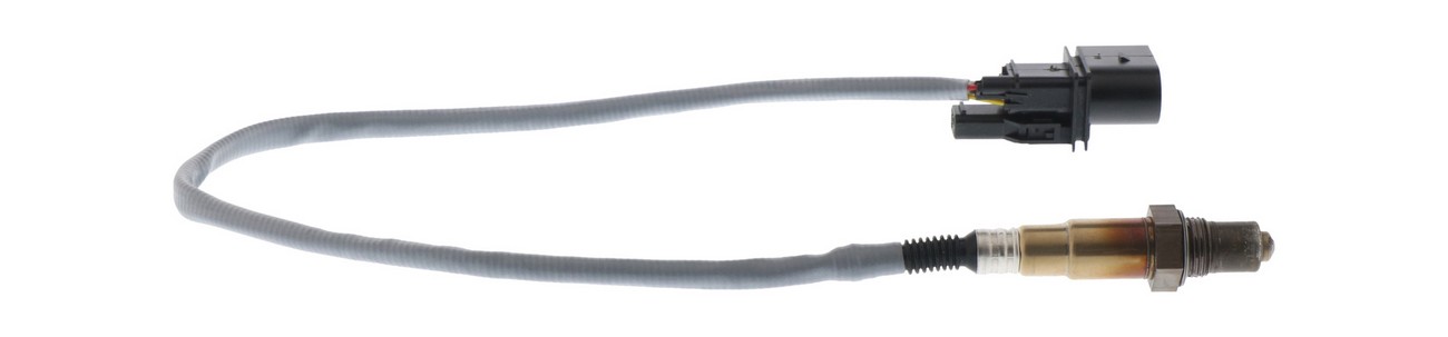 BBHK-17146
