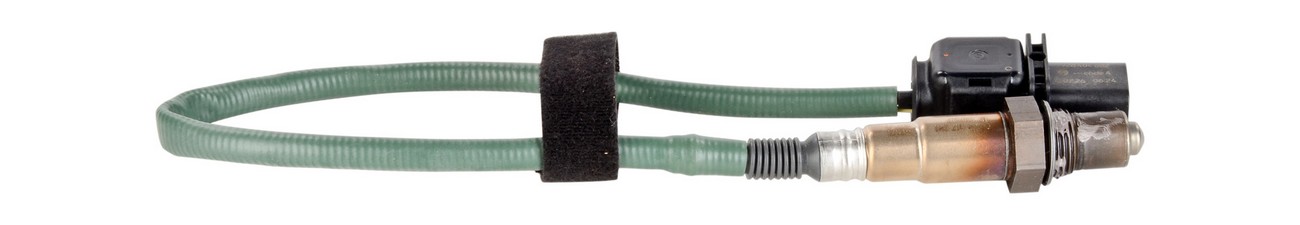 BBHK-17281