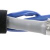 BBHK-17310