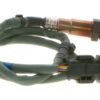 BBHK-17333