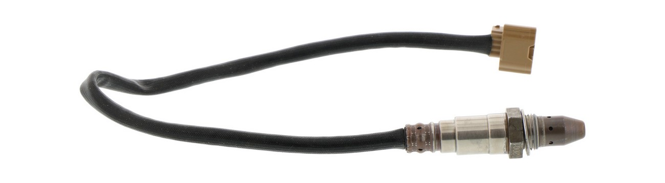 BBHK-18135