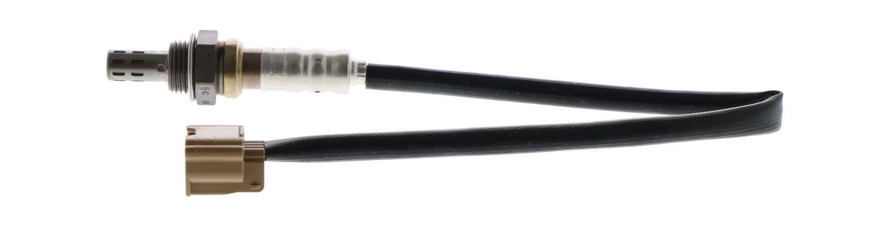 BBHK-18146