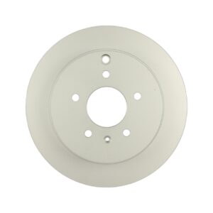 Bosch 25010698 Disc Brake Rotor