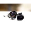 FLRQ-CAS109203